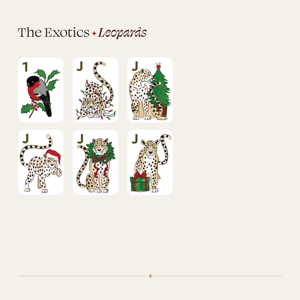 Special Edition Christmas Extended Set - Leopards